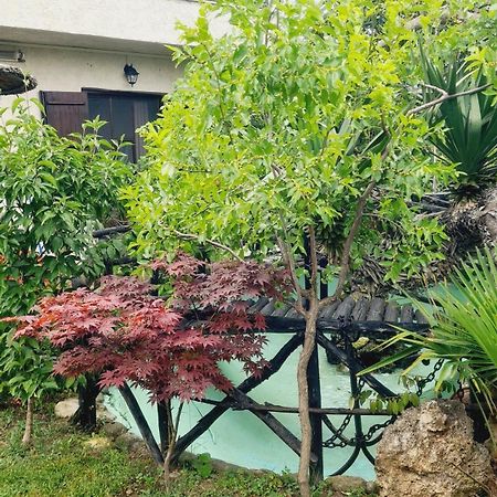 Paralía Casa Del Mareヴィラ エクステリア 写真