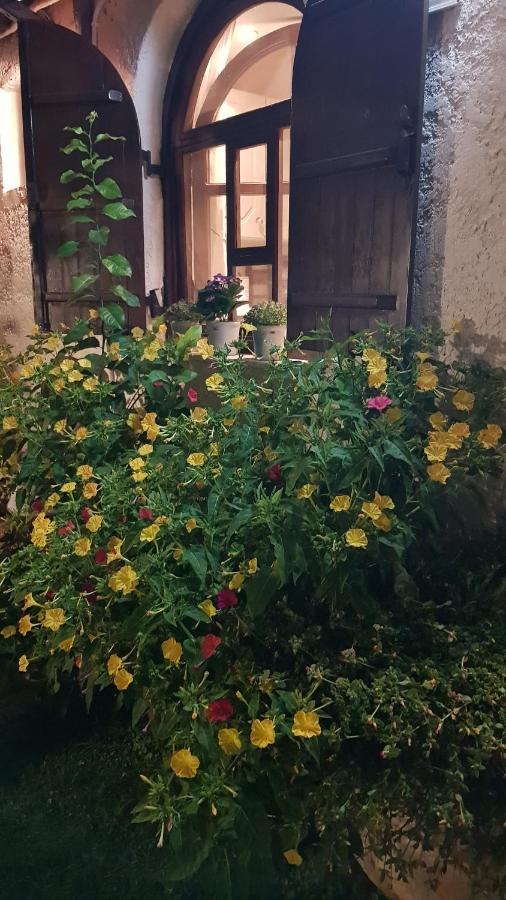 Paralía Casa Del Mareヴィラ エクステリア 写真