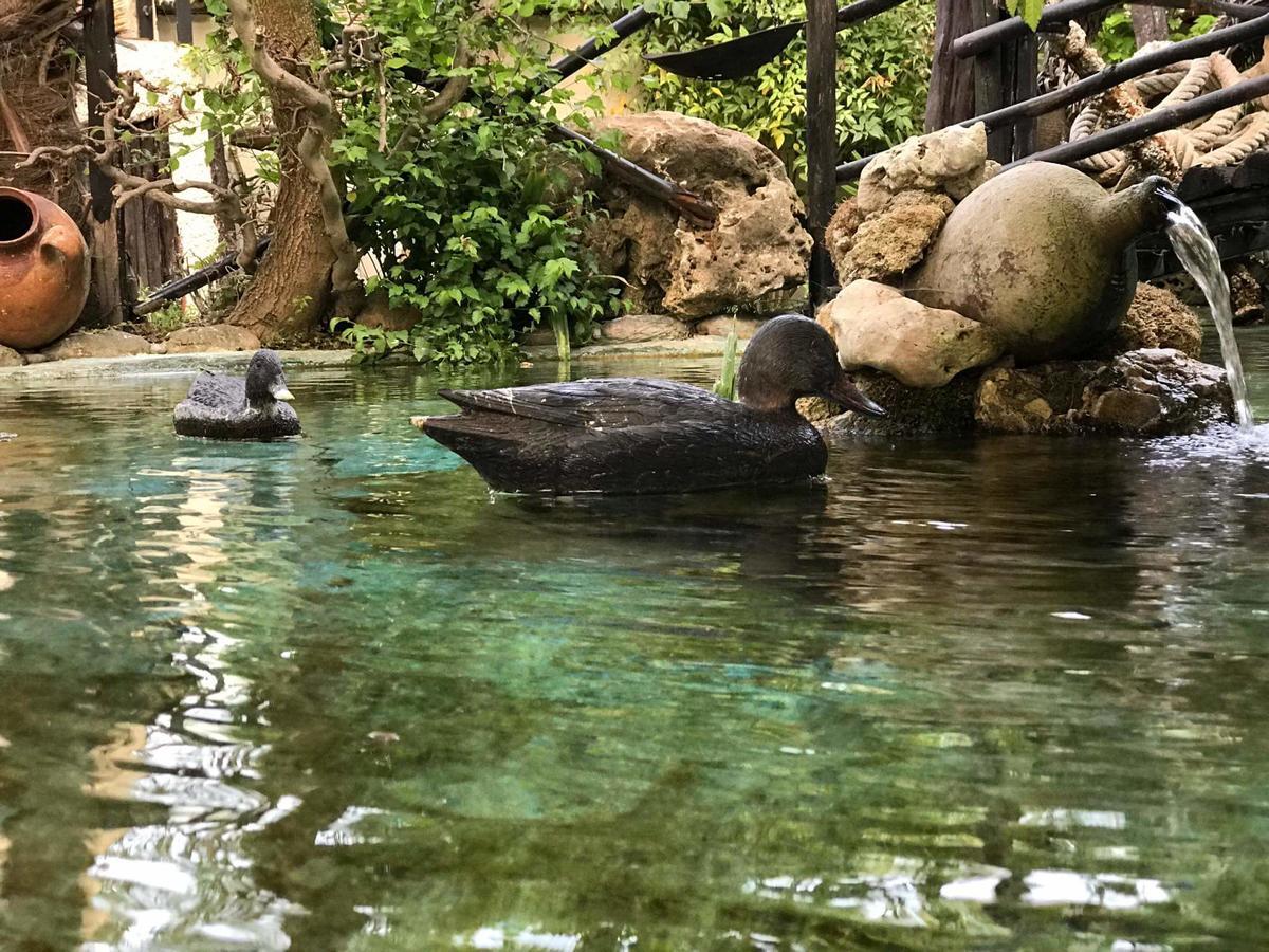 Paralía Casa Del Mareヴィラ エクステリア 写真